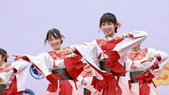 Sôi nổi Liên hoan Yosakoi Việt Nam và Lễ hội Văn hóa Việt- Nhật