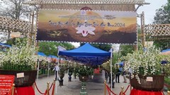 Hơn 2.000 tác phẩm hoa lan tại Tuần Văn hóa - Du lịch Đất Tổ 