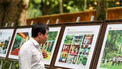 Hơn 240 tư liệu đặc biệt tại triển lãm về 55 năm bảo tồn, phát huy giá trị Khu Di tích Phủ Chủ tịch