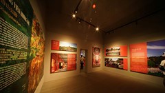 Chiêm ngưỡng “Bảo vật phương Đông, danh viên Bắc Kinh” tại Hà Nội