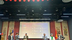 Lan tỏa ý chí, “sức mạnh mềm” Việt Nam ra thế giới