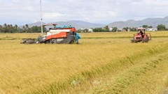 Bộ NN&PTNT thông tin việc sắp xếp, tinh gọn bộ máy