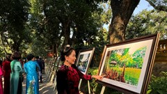 Những khoảnh khắc đẹp về Khu Di tích Chủ tịch Hồ Chí Minh tại Phủ Chủ tịch