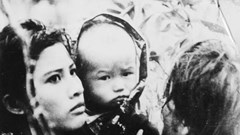 “Nửa thế kỷ phim Việt Nam về chiến tranh” từ sau đất nước thống nhất