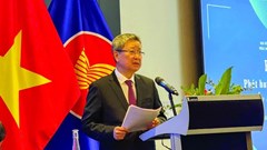 Phát huy nguồn lực cộng đồng người Việt tại châu Âu 