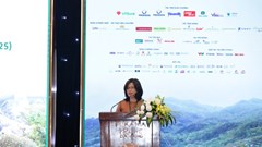 Viện phim Việt Nam đưa 18 phim về đề tài chiến tranh đến DANAFF III