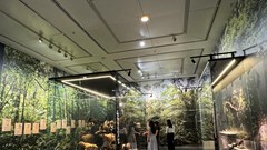 Bảo tàng Hà Nội tạm dừng đón khách tham quan