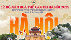 Đấu giá thiện nguyện, quyên góp ủng hộ đồng bào bị bão lũ