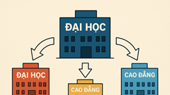 Tái cấu trúc mạng lưới giáo dục đại học: Vì sao cần sáp nhập các trường?