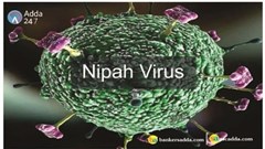 Các địa phương tăng cường giám sát, phòng chống dịch bệnh do virus Nipah ngay từ các cửa khẩu 