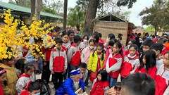 “Tết học đường” gây nhiều ý kiến trái chiều, phụ huynh nói gì?