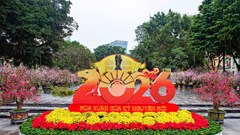 Du khách nô nức check-in không gian hoa xuân Lý Thái Tổ ngày đầu mở cửa