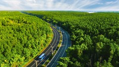 5.000 runners đếm ngược tới ngày “detox phổi” tại “mỏ oxy khổng lồ” của TP.HCM