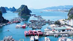 Quảng Ninh: Mở cảng Cái Rồng, phát triển dịch vụ hậu cần nghề cá