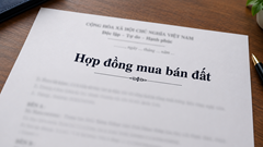 Bán đất 20 tỉ, kê khai 5 tỉ: Rủi ro nằm sau con số “cho đẹp hồ sơ“