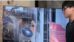 Phạm Thoại đập tivi: Chiếc màn hình vỡ và hai cuộc tranh luận