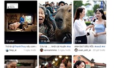 Video ảo, hệ luỵ thật