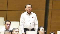 Văn hóa đã được xác định là sức mạnh nội sinh, hệ điều tiết của sự phát triển bền vững