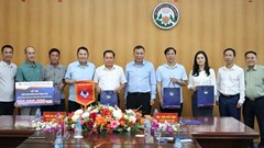 LĐBĐ Việt Nam hỗ trợ Lạng Sơn phát triển bóng đá trẻ, nâng cao năng lực tổ chức giải