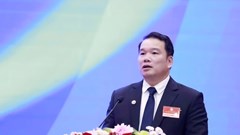 Đại hội đồng Liên đoàn thế giới Võ cổ truyền Việt Nam kiện toàn tổ chức nhiệm kỳ II