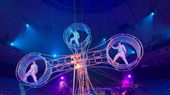  Cuộc thi Tài năng Xiếc toàn quốc 2024: Cơ hội thưởng thức những pha trình diễn ngoạn mục