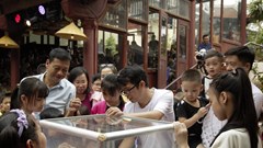 Nhà hát Múa rối Việt Nam tổ chức chương trình “Trăng trẻ thơ” ủng hộ người dân vùng lũ