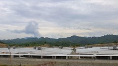 Di dời 30.000 con heo gây mùi hôi thối khiến hàng ngàn hộ dân “khốn khổ“