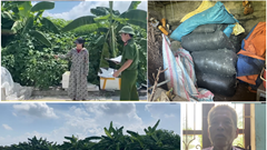 Quên khoá cổng bị trộm 13 bì lông vịt trị giá trên 100 triệu đồng