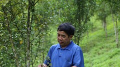 Cảm động những lá đơn xin thoát nghèo ở huyện vùng cao biên giới xứ Thanh