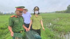 Tháo gỡ, tiêu huỷ hàng ngàn chim mồi giả, dụng cụ bẫy chim trời