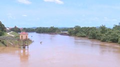 Thanh Hoá phát lệnh báo động cấp III trên sông Bưởi