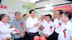 Khai trương trưng bày và giới thiệu sản phẩm nông sản thực phẩm an toàn