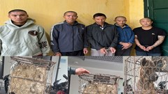 Hơn một tháng, 5 đối tượng trộm gần 100 con chó