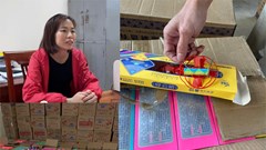 Thu giữ hơn 2 tấn pháo hoa nổ do nước ngoài sản xuất 