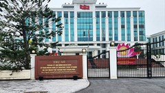 Kỷ luật khiển trách Phó Giám đốc Ban quản lý dự án 