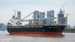 Tàu cá va chạm với tàu hàng, 4 ngư dân tử vong