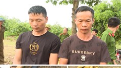 Hai người Trung Quốc bị bắt khi đào trộm mộ vua Lê Túc Tông ở Thanh Hóa