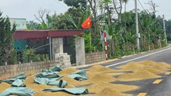 Hiểm họa giao thông mùa gặt