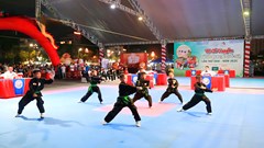 Võ học Việt bừng sáng giữa trời xanh xứ Thanh