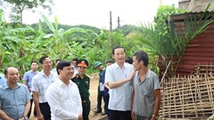 Những nẻo đường vươn sáng