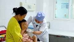 Bé trai nguy kịch vì bị chó nhà cắn, bác sĩ phát cảnh báo khẩn đến các gia đình