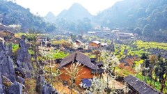 Giữ vững danh hiệu Công viên địa chất toàn cầu Cao nguyên đá Đồng Văn