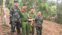 Xuyên đêm tìm kiếm bé trai 3 tuổi đi lạc ở Thái Nguyên