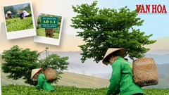 Giữ hồn trà đạo, vươn tầm thương hiệu chè tại Thái Nguyên