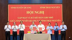 Thái Nguyên, Tuyên Quang mở rộng hợp tác chiến lược tạo dư địa phát triển