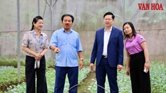Thái Nguyên mở rộng không gian du lịch từ những nông trại trải nghiệm