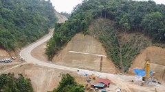 Mở hướng sinh kế mới cho người dân các xã phía Bắc tỉnh Thái Nguyên