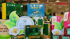 Chuẩn OCOP mở lối nâng tầm du lịch cộng đồng Việt Nam