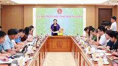 Thái Nguyên chuẩn bị Festival Trà Quốc tế gắn với văn hóa và du lịch