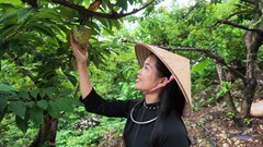 Thái Nguyên đưa nông sản thành điểm hẹn du lịch